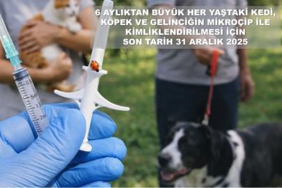 Valilikten evcil hayvan uyarısı