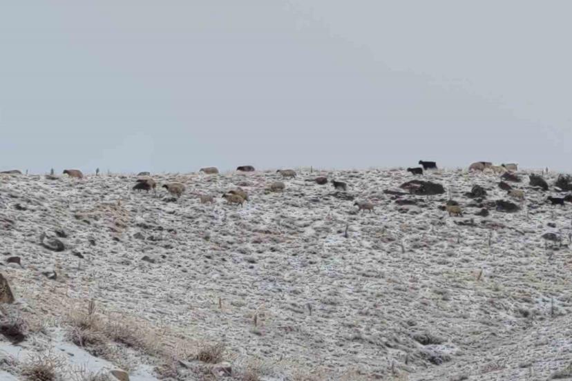 Van’da kış yüzünü gösterdi: Erek Dağı ve çevresi beyaza büründü