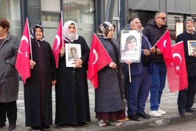 Vanlı annelerin evlat nöbeti 114’üncü haftasında