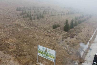 Yahyalı’ya bin 200 fidan dikildi