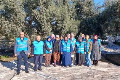 Yatağan’da zeytin hasadı ve bereket duası yapıldı