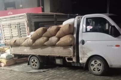 Yılbaşına günler kala fındık fiyatları yükselişe geçti