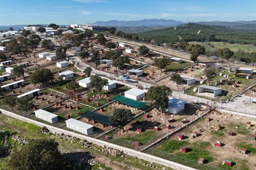 Yunusemre’de sokak hayvanlarına örnek yaşam merkezi