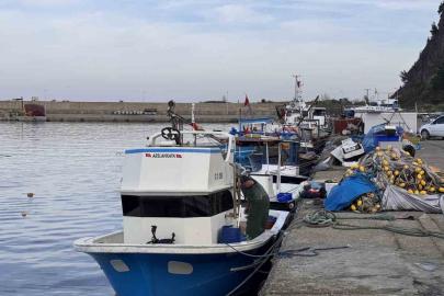 Zonguldak’ta hamsi yoğunluğu yaşandı, palamut çıkmadı