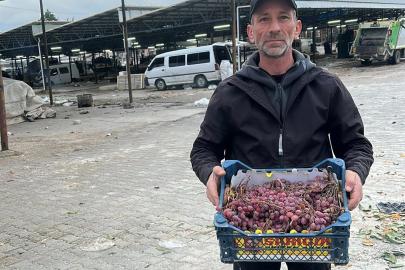 2025 yılı üzümlerini 2026’da bitirdi