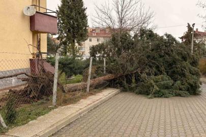75. Yıl Mahallesi fırtınadan olumsuz etkilendi