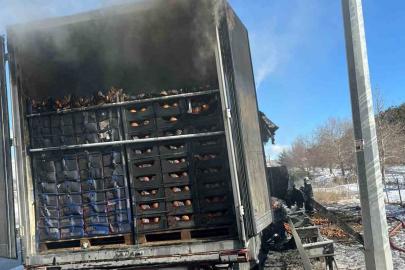 Adana-Pozantı Otoyolu’nda narenciye yüklü tır alevlere teslim oldu