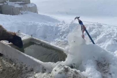 Ağrı’da soğuk hava etkisini göstermeye devam ediyor