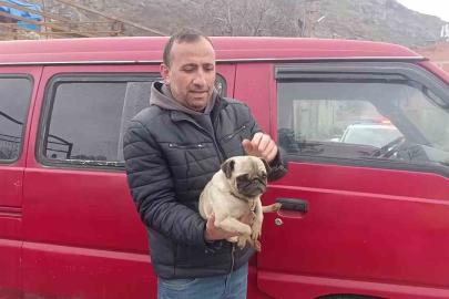 Amasya’da yangında mahsur kalan köpeği muhtar kurtardı