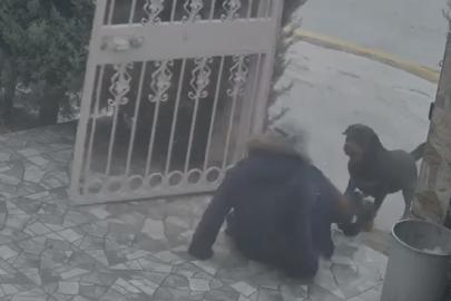 Ankara’da sahipsiz köpeklerin saldırısına uğrayan kadın komşusunun müdahalesiyle kurtuldu