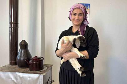 Annesiz kalan kuzu ailenin ‘Umut’u oldu