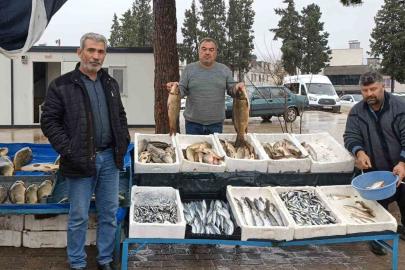 Araban’da soğuk hava balığa talebi artırdı