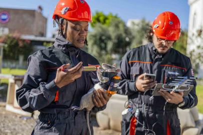 Arama kurtarmada yeni dönem: Enkaz altında kalanları kahraman fareler kurtaracak