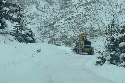 Artvin’de 6 ilçede 43 köy yolunda kar nedeniyle ulaşım sağlanamıyor
