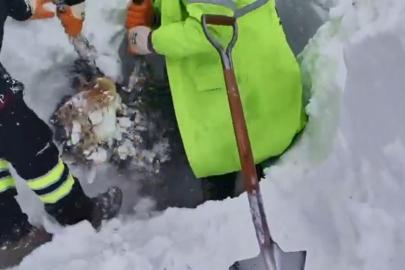 Artvin’de çığ bölgesinde arama kurtarma çalışmaları ikinci günde yeniden başladı