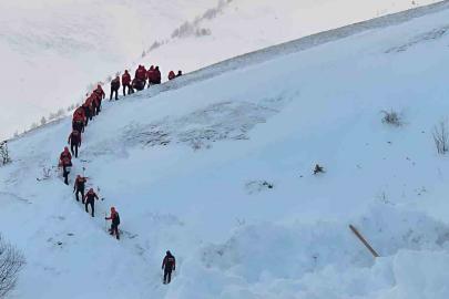 Artvin’de çığ faciasında kayıp çoban için arama çalışmaları üçüncü gününde yeniden başladı