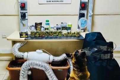 Artvin’de uyuşturucu madde ve yetiştirme düzeneği ele geçirildi