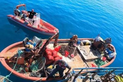 Aydın’da yasa dışı avcılığa geçit verilmiyor: "Bir yılda 5 bin denetim yapıldı"