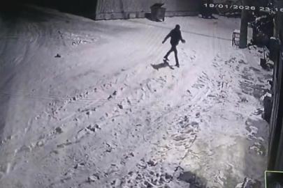 Bahçesine giren kurtları çaydanlıktaki sıcak suyla kovaladı