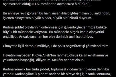 Bakan Yerlikaya: "(Manisa’daki cinayet) Cinayetle ilgili derhal 1 mülkiye, 1 de polis başmüfettişi görevlendirdim"