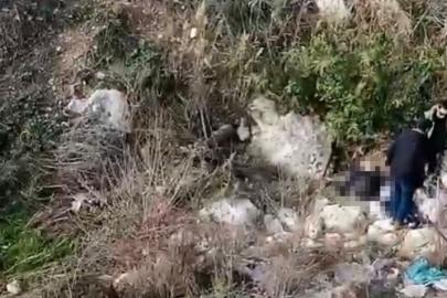 Balıkesir’den kayıp olarak aranan şahsın cesedi Mersin’de bulundu