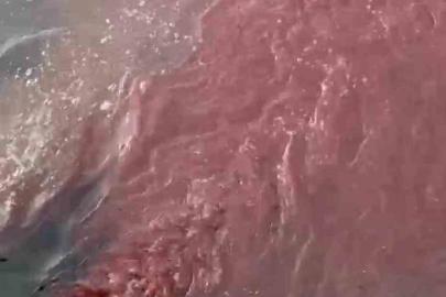 Bandırma’da deniz yüzeyi kırmızıya döndü