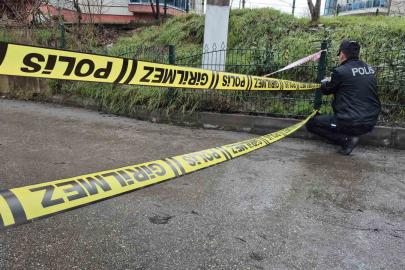 Bartın Irmağı taştı