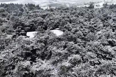 Başakşehir Şamlar Tabiat Parkı beyaza büründü