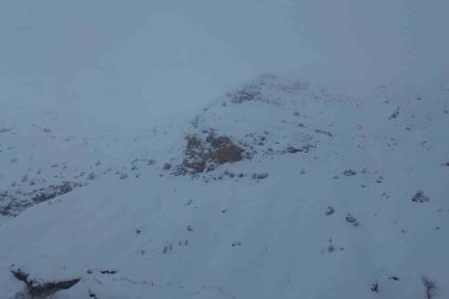 Batman’da ağıla çığ düştü: 45 küçükbaş hayvan telef oldu