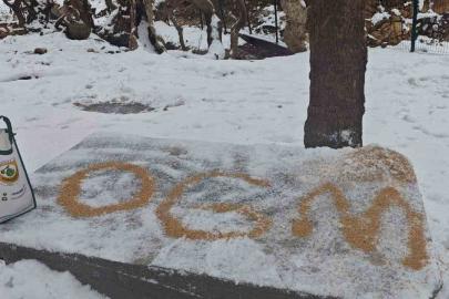 Batman’da yaban hayatı unutulmadı