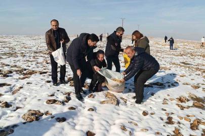 Batman’da yaban hayvanları için doğaya yem bırakıldı