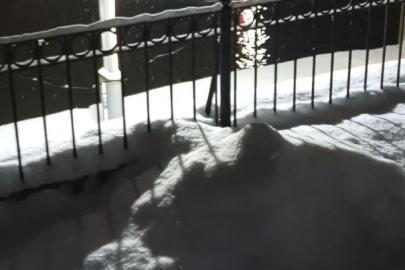 Bayburt’ta su samuru bu kez eşiyle birlikte görüntülendi