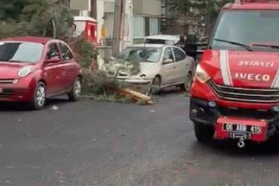 Beypazarı’nda fırtına ağaçları devirdi