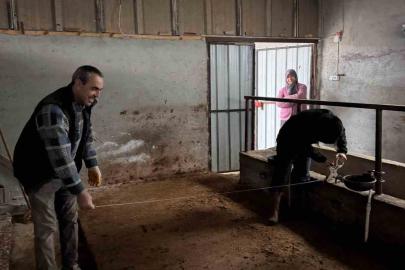 Bilecik’te büyükbaş hayvancılık işletmelerinde kapasite kontrolleri