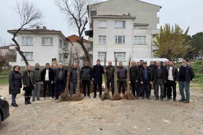 Bilecik’te çiftçilere meyve fidanı desteği