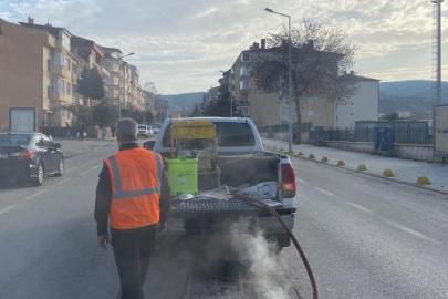 Bilecik’te haşerelere karşı kışlık mücadele