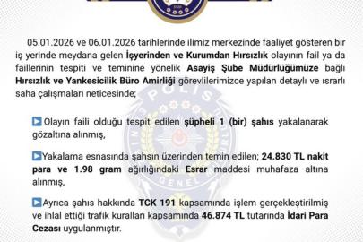 Bingöl’de hırsızlık yapan şüpheli tutuklandı