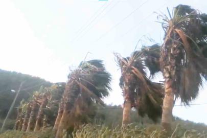 Bodrum, Datça ve Marmaris kıyılarına fırtına uyarısı