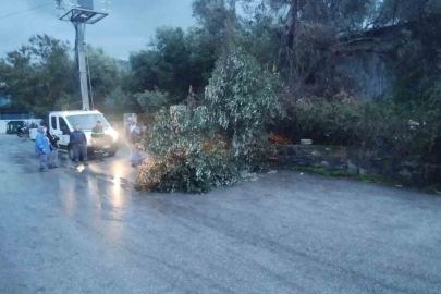 Bodrum’da fırtına etkili oldu