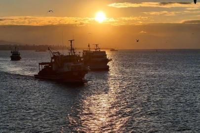 Boğaz’da fırtına sonrası balıkçılar yeniden denize açıldı