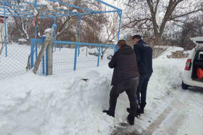 Bünyan’da sokak hayvanlarına mama desteği