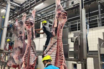 Büyükşehir mezbahasında 6 bin 29 kesim yapıldı