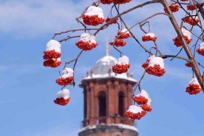 Buzlanma, don ve çığa dikkat