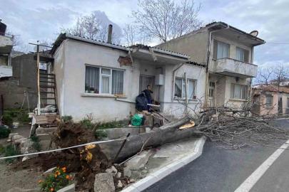 Çanakkale’de lodos fırtınasında devrilen ağaç evin çatısına zarar verdi