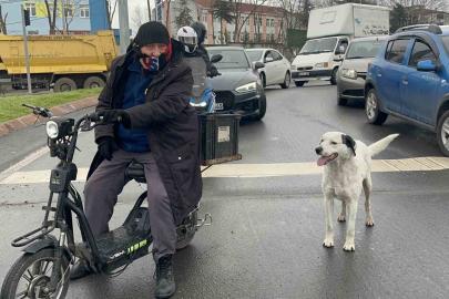 Çarşı pazar peşinden ayrılmıyor