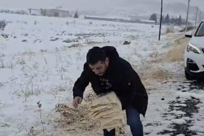 Çermik’te yaban hayvanları için doğaya yem bırakıldı