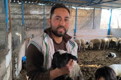 Çift başı ve 4 gözü ile doğan kuzu yaşama tutundu