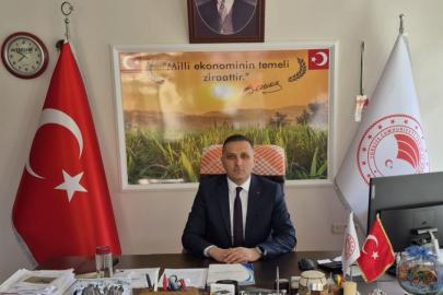 Çiftçilere yüzde 50 hibeli ayçiçeği tohumu dağıtılacak