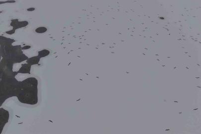 Cip Baraj Gölü buz tuttu