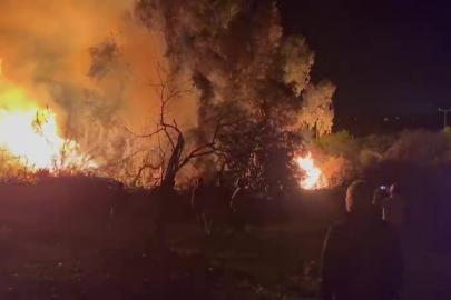 D-400 kara yolunda yangın ucuz atlatıldı